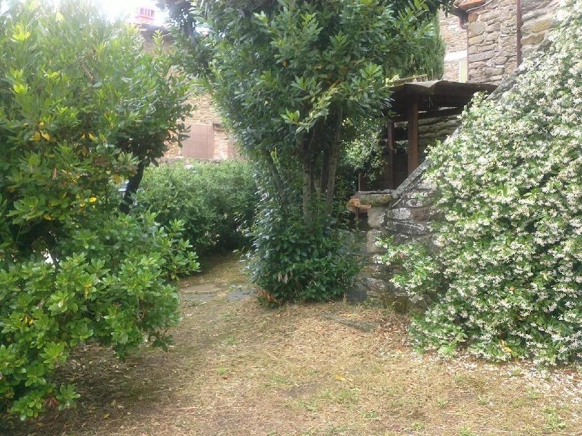 La Cuccia - La Villa-San Pacrazio Ambra Zewnętrze zdjęcie