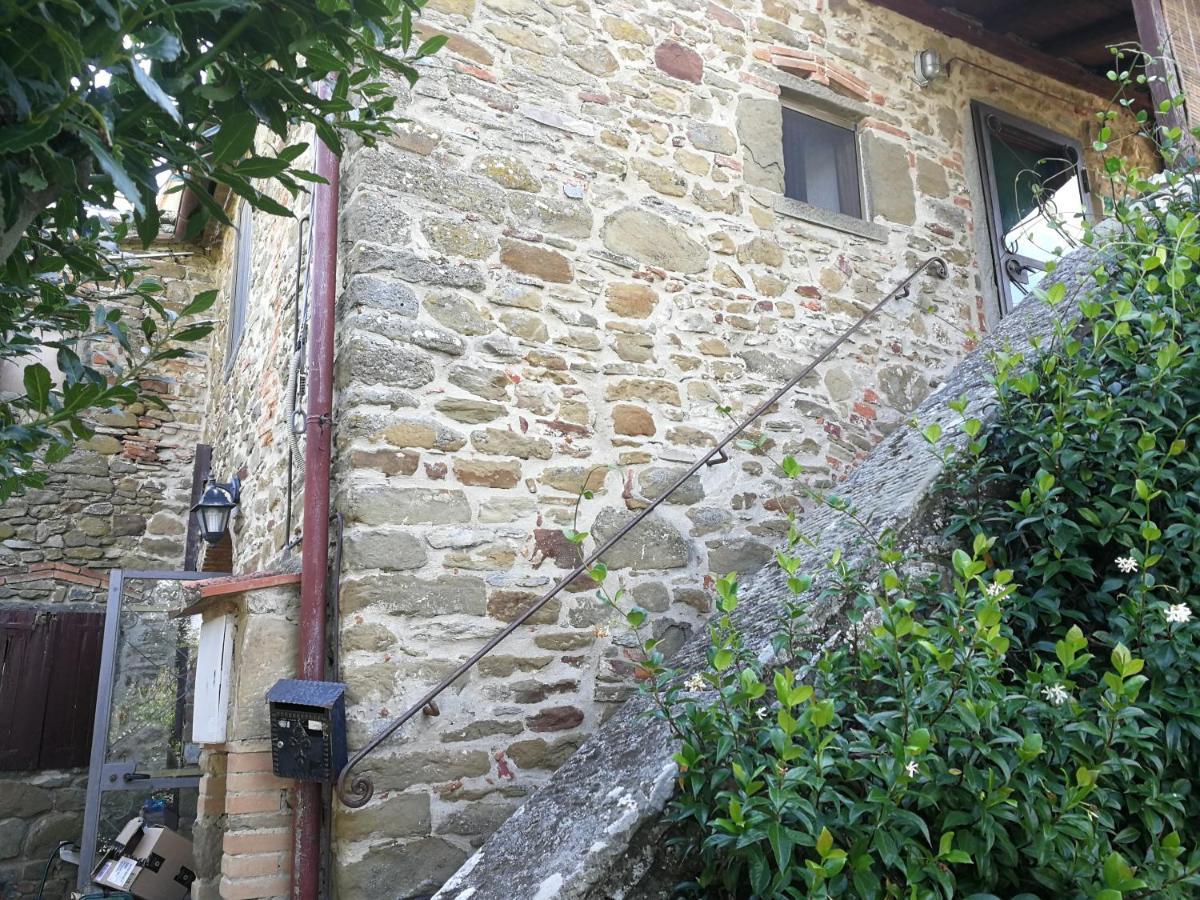 La Cuccia - La Villa-San Pacrazio Ambra Zewnętrze zdjęcie