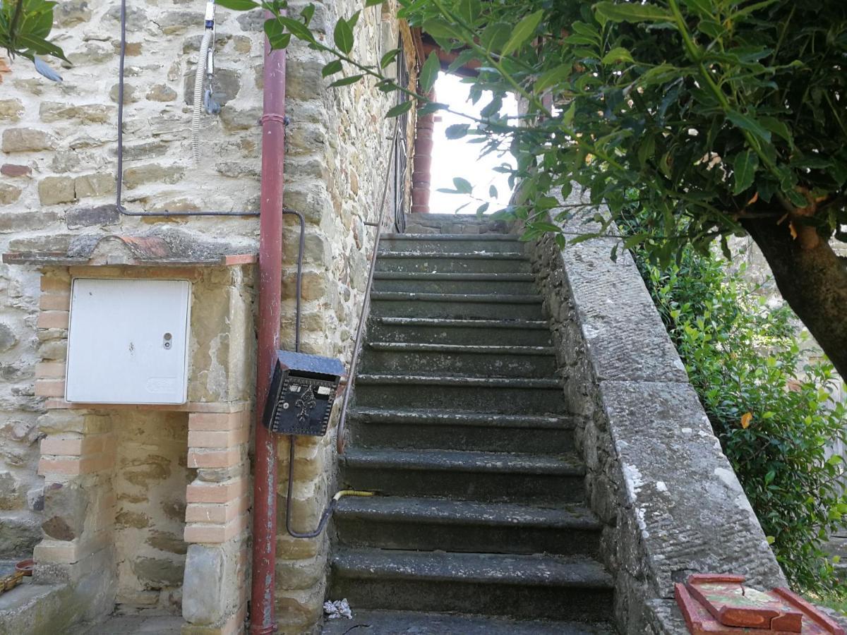 La Cuccia - La Villa-San Pacrazio Ambra Zewnętrze zdjęcie